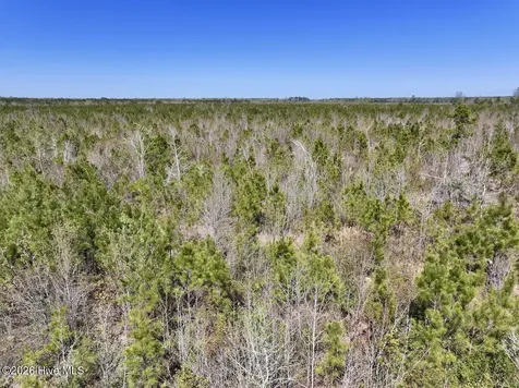0 Guinea Mill Road Ernul NC 28527