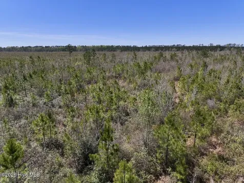 0 Guinea Mill Road Ernul NC 28527