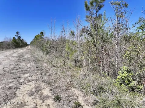 0 Guinea Mill Road Ernul NC 28527