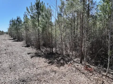0 Guinea Mill Road Ernul NC 28527