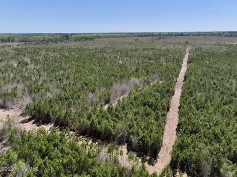 0 Guinea Mill Road Ernul NC 28527
