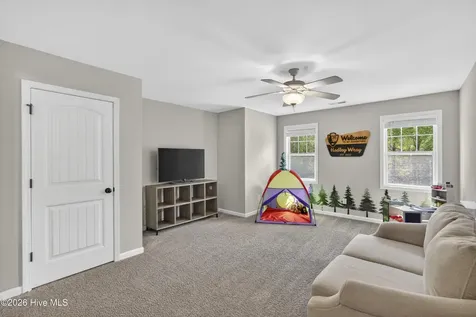 119 Downy Drive Hampstead NC 28443