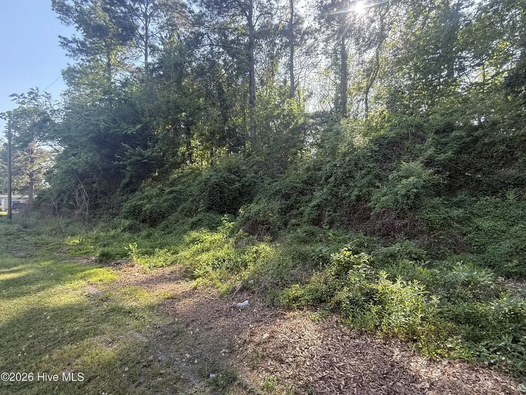 412 S Thompson Street Whiteville NC 28472