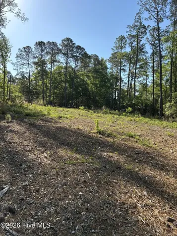 4632 Bluff Drive Shallotte NC 28470