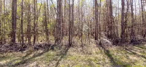 D07-3 Wood Landing Road Grantsboro NC 28529
