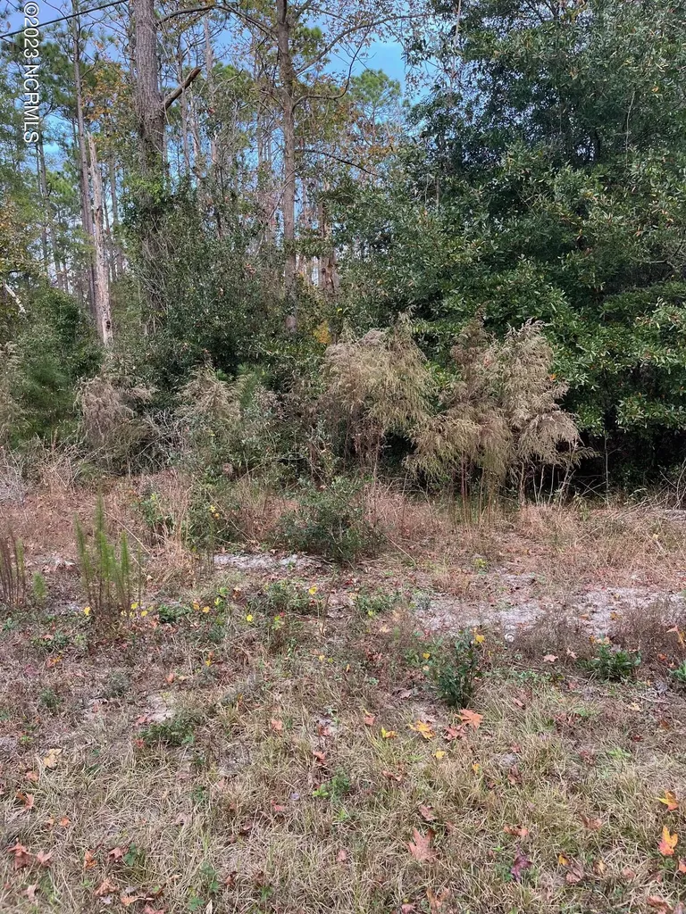 230 Redwood Road Southport NC 28461