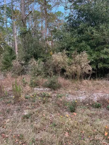 230 Redwood Road Southport NC 28461