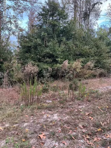 224 Redwood Road Southport NC 28461