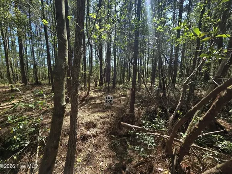 Lot B-31 Renee Drive Hampstead NC 28443