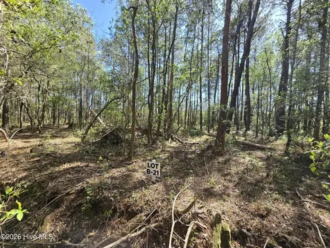 Lot B-21 Renee Drive Hampstead NC 28443