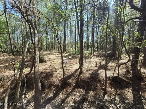 Lot B-20 Renee Drive Hampstead NC 28443