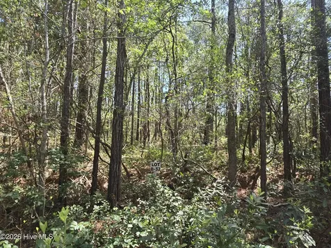 Lot B-32 Renee Drive Hampstead NC 28443