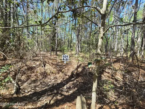 Lot A-31 Renee Drive Hampstead NC 28443