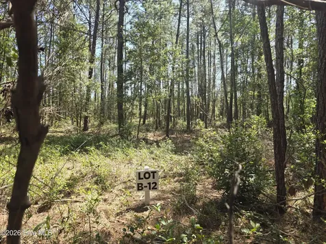 Lot B-12 Renee Drive Hampstead NC 28443