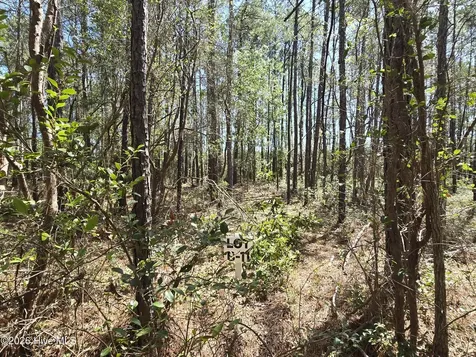 Lot B-11 Renee Drive Hampstead NC 28443