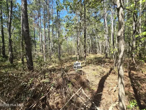 Lot A-22 Renee Drive Hampstead NC 28443