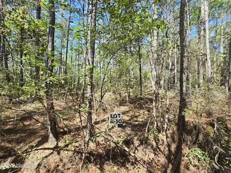 Lot A-30 Renee Drive Hampstead NC 28443