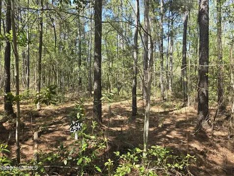 Lot A-20 Renee Drive Hampstead NC 28443