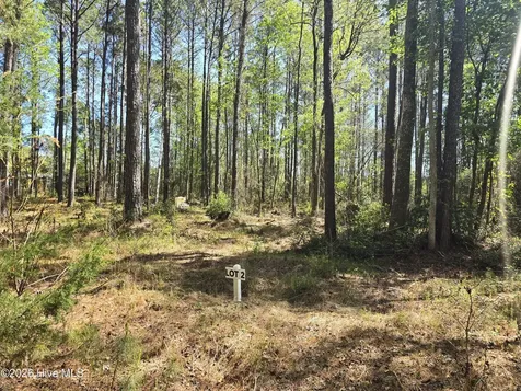 Lot 2 Renee Drive Hampstead NC 28443