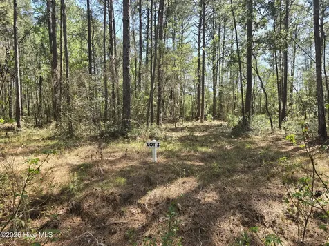 Lot 3 Renee Drive Hampstead NC 28443
