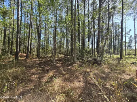 Lot B Renee Drive Hampstead NC 28443