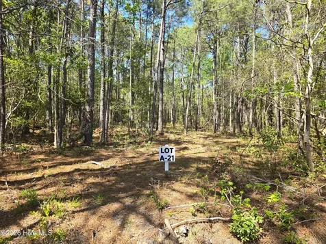 Lot A-21 Renee Drive Hampstead NC 28443