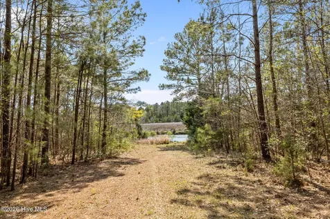 4160 Freedom Way Hubert NC 28539