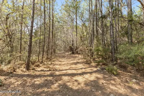 4160 Freedom Way Hubert NC 28539