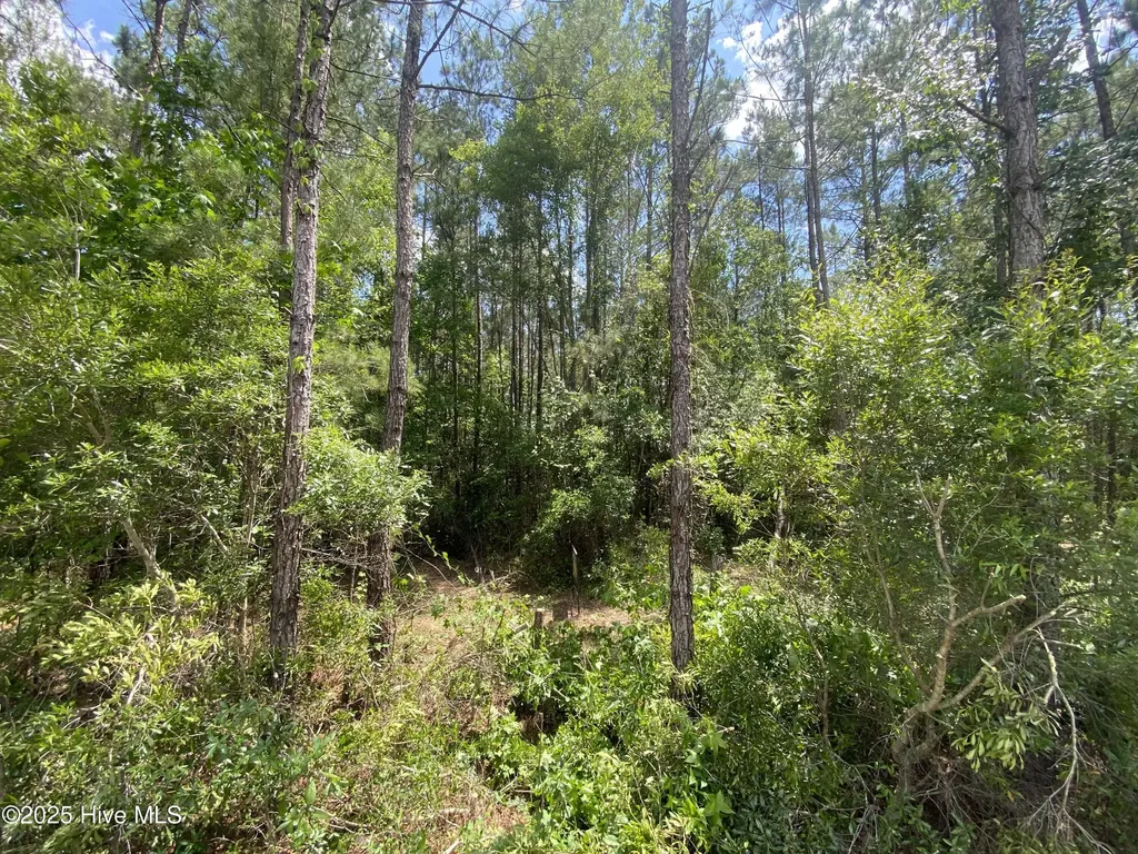 8891 Millers Path NE Leland NC 28451