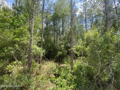8891 Millers Path NE Leland NC 28451