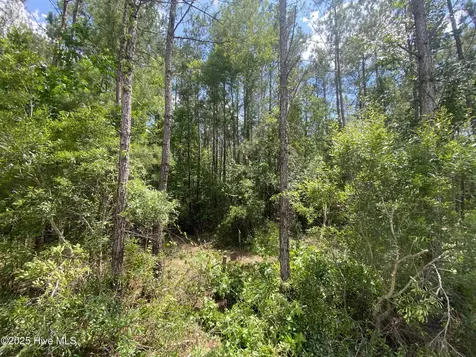 8891 Millers Path NE Leland NC 28451
