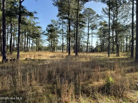 269 Shell Castle Lane Vandemere NC 28587