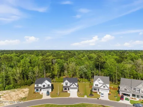177 Tilloo Cut Way Hampstead NC 28443
