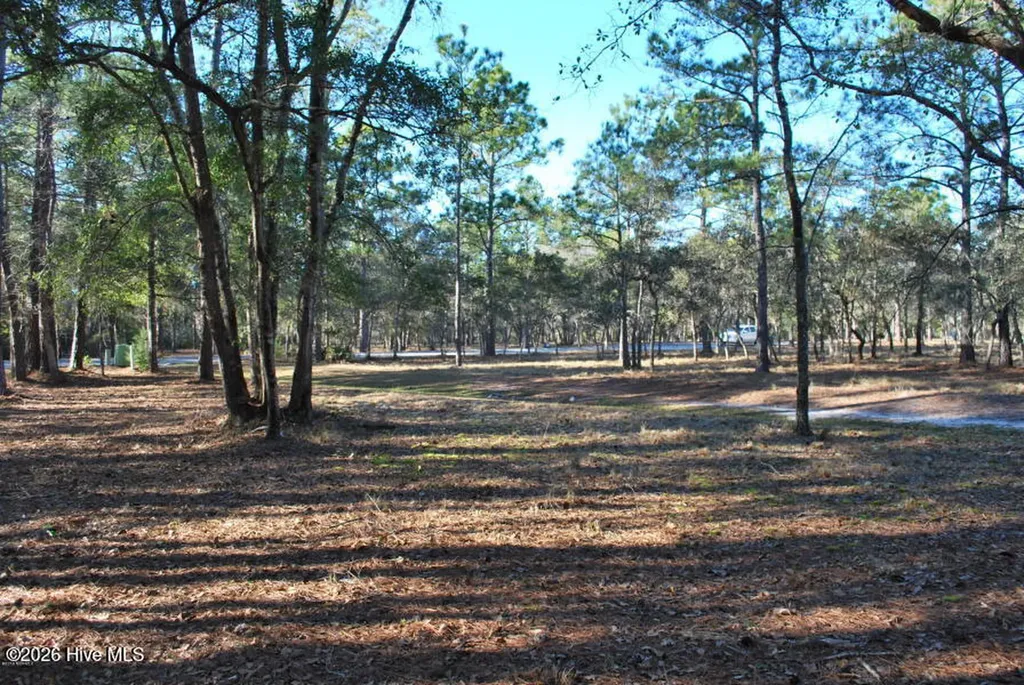 655 S Seascape Boulevard SW Supply NC 28462