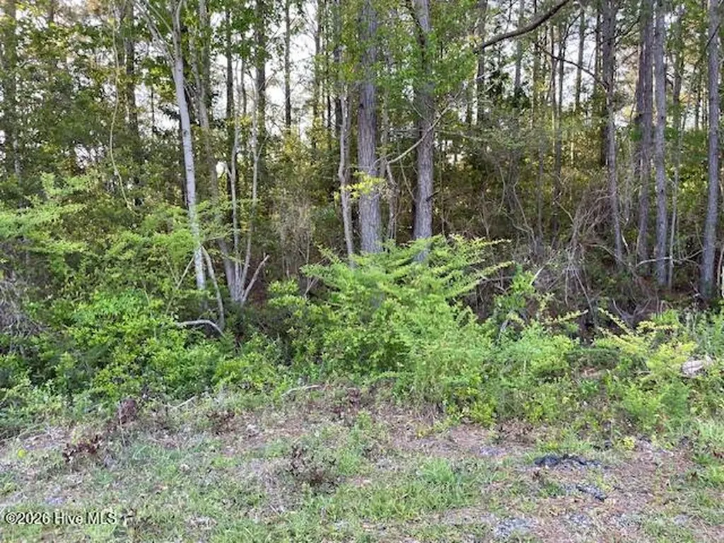 4795 Acres Lane SE Southport NC 28461