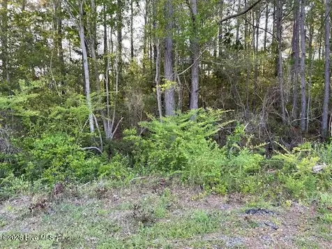 4795 Acres Lane SE Southport NC 28461