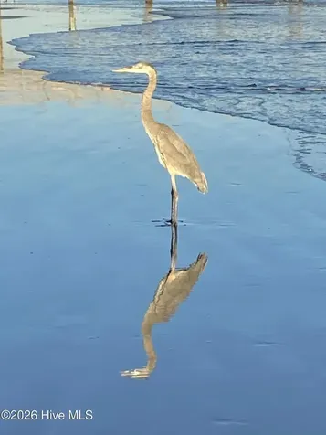 928 Great Egret Circle SW Sunset Beach NC 28468