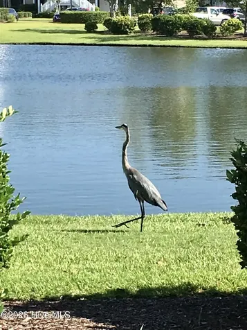 928 Great Egret Circle SW Sunset Beach NC 28468