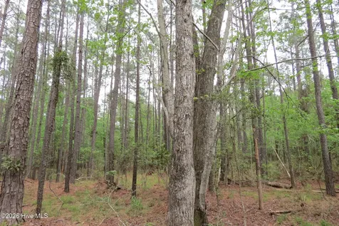 336 Mills Road Oriental NC 28571