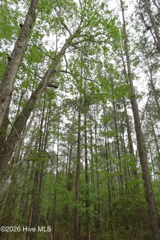 336 Mills Road Oriental NC 28571