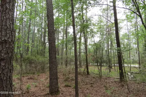 336 Mills Road Oriental NC 28571