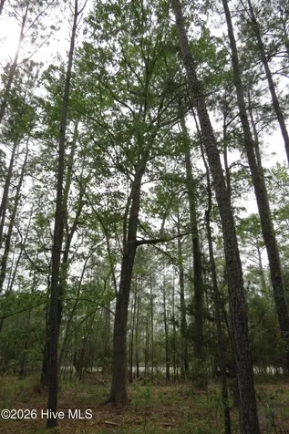 336 Mills Road Oriental NC 28571