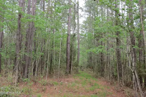 336 Mills Road Oriental NC 28571
