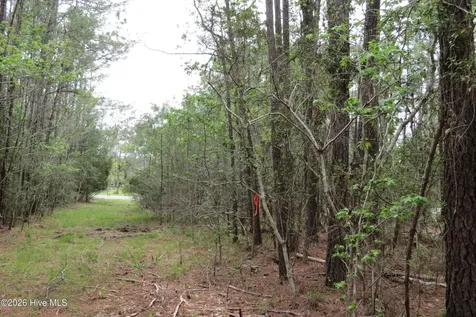 336 Mills Road Oriental NC 28571