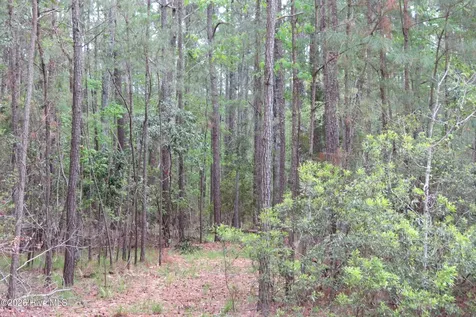 336 Mills Road Oriental NC 28571
