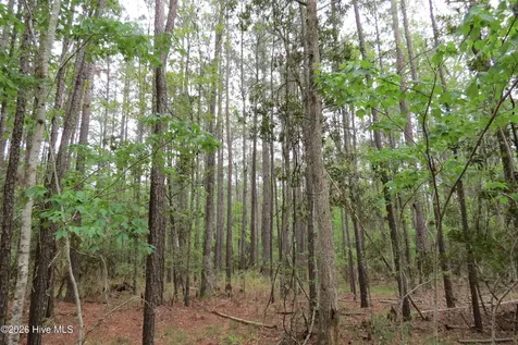 336 Mills Road Oriental NC 28571