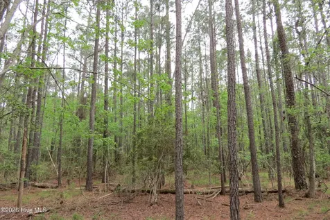 336 Mills Road Oriental NC 28571