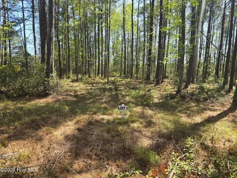 Lot 1 Renee Drive Hampstead NC 28443