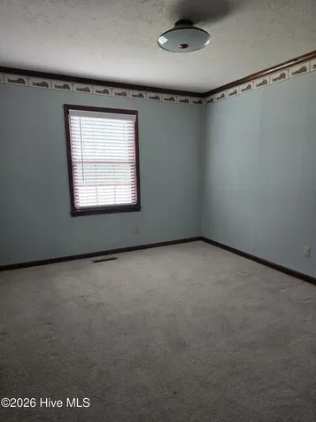 346 Pinecrest Drive Chadbourn NC 28431