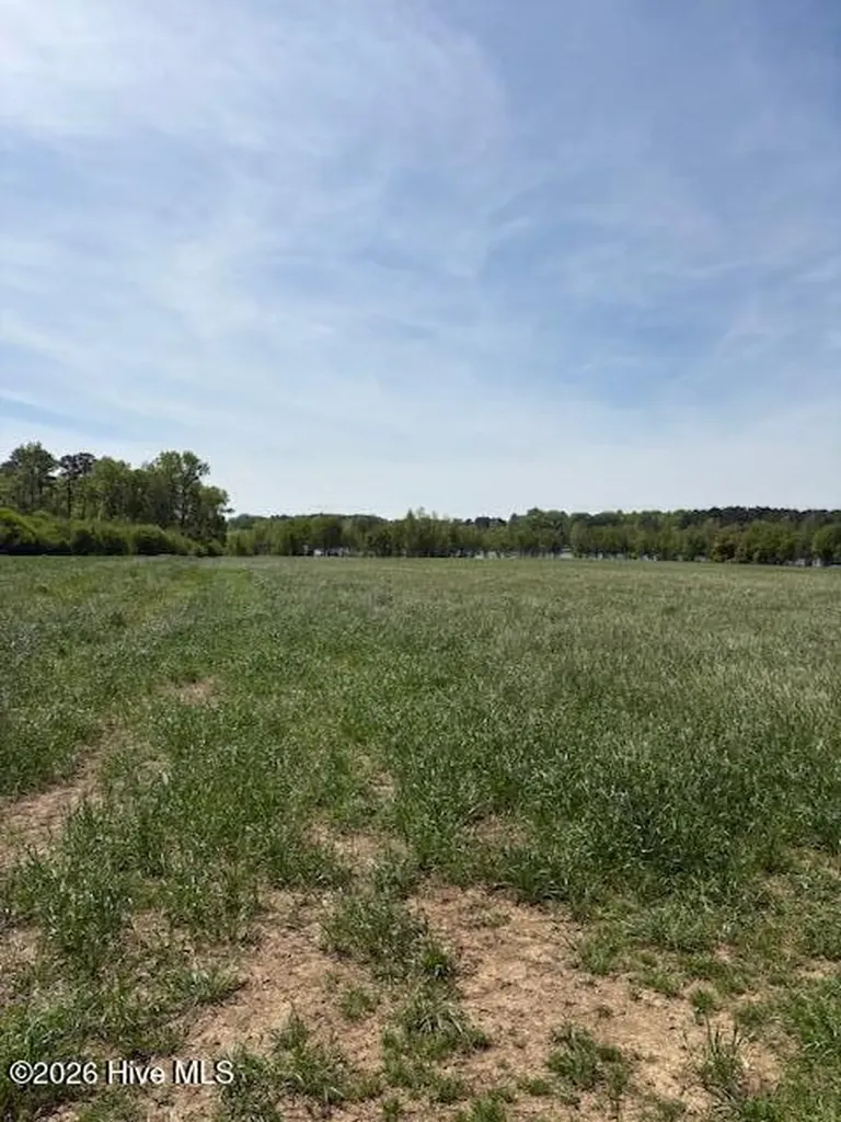 Tract 1 Leon Road Nashville NC 27856